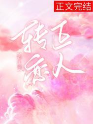 转正娱乐圈全文