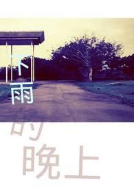下雨的晚上怎么描写