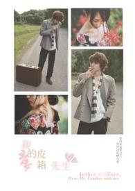 查尔先生的皮箱时长