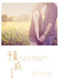 预感讯号讲的什么内容