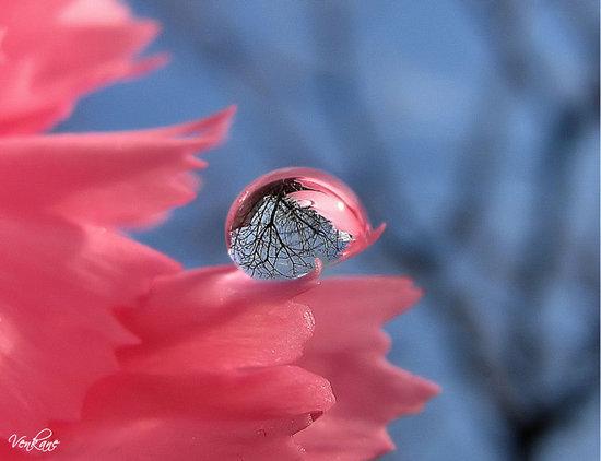 超越轮回是什么意思