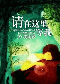沈南汐请在这里等我番外