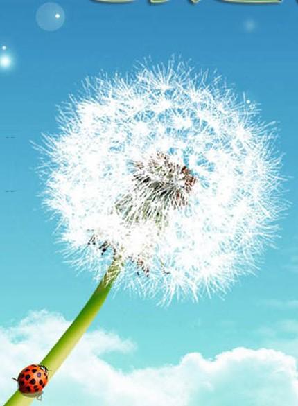 双绝对值等式怎么解