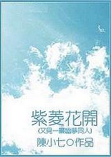 一帘幽梦大结局紫菱怀孕