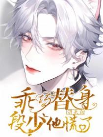 乖巧替身消失后段少他慌了有声