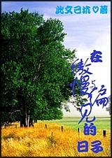 傲慢与偏见出现的地点