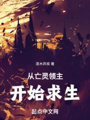 亡灵领主系统类