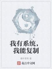 我的系统可以复制