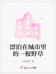 歌词城市里漂泊的人