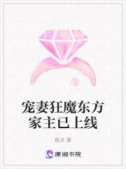 宠妻狂魔啥意思