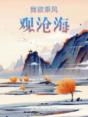 我欲乘风歌曲是谁作词