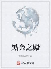 黑金之城是什么意思