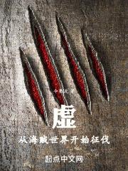 从海贼世界开始冒险之旅