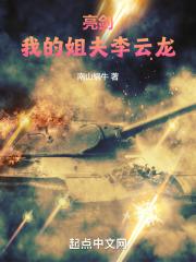 亮剑之我是李云龙的弟弟