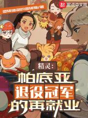 精灵帕底亚退役冠军的再就业TXT全集