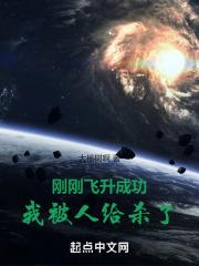 飞升后我被单身了