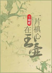 一片心在玉壶的前一句
