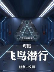 海贼王飞翔海贼团