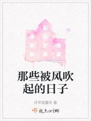 那些被风吹起的日子歌词