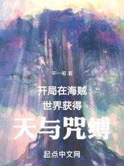 海贼开局天羽羽斩