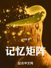 记忆算法基本框图