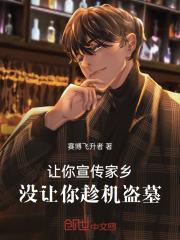 没让你抓盗墓贼怎么办