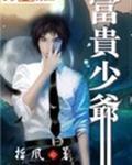 富贵少爷免费观看全集