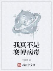 我真的不是赛博精神