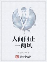 人间何止一两风暗示什么