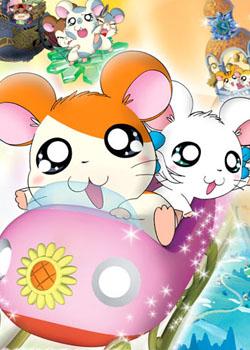 小松鼠奇遇记作文200字三年级