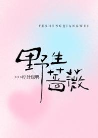 野生蔷薇(现言1V1 )