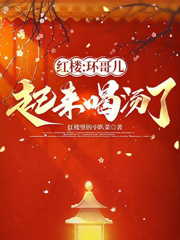 红楼梦里环儿是谁