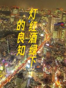 灯红酒绿是什么歌词