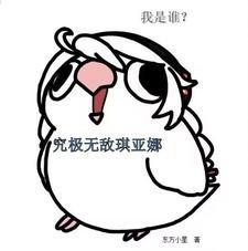 究极无敌巨tm可爱的琪亚娜