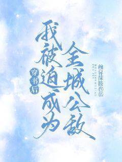穿书后我被迫成为全城公敌简介