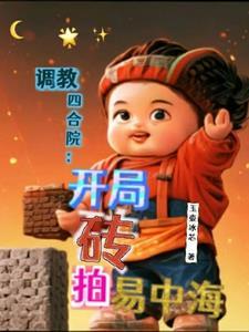 从砖拍易中海开始调教四合院作者玉壶冰芯