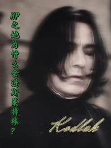 hp主角是斯莱特林传人