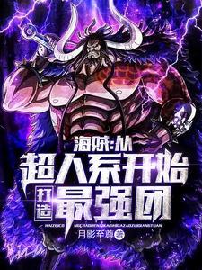 海贼从超人系开始打造最强团在线
