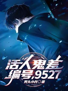 编号9527 秃头小井