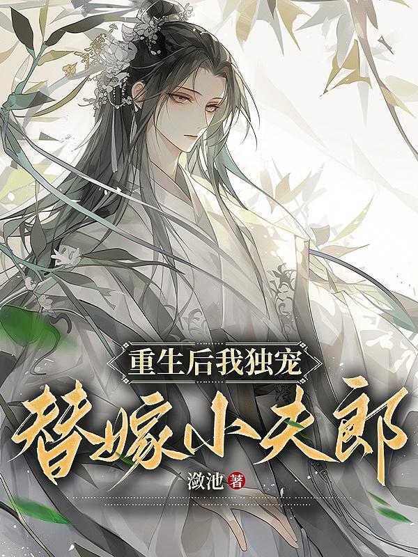 我独宠替嫁小夫郎作者潋池