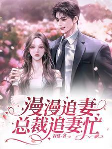 总裁追妻漫漫免费阅读