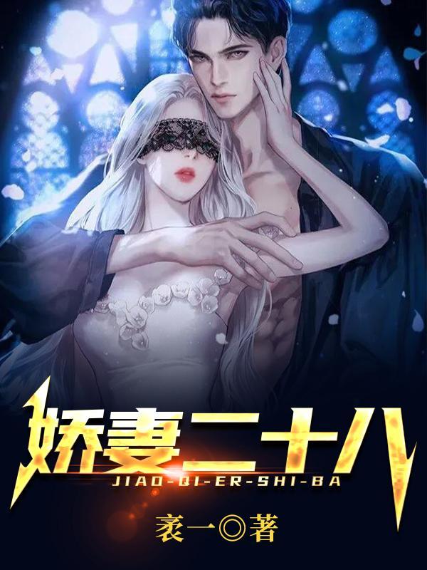 娇妻二十八免费全文阅读