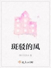 斑驳的风痕是什么意思啊