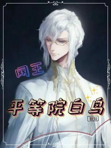 网王平等院前辈