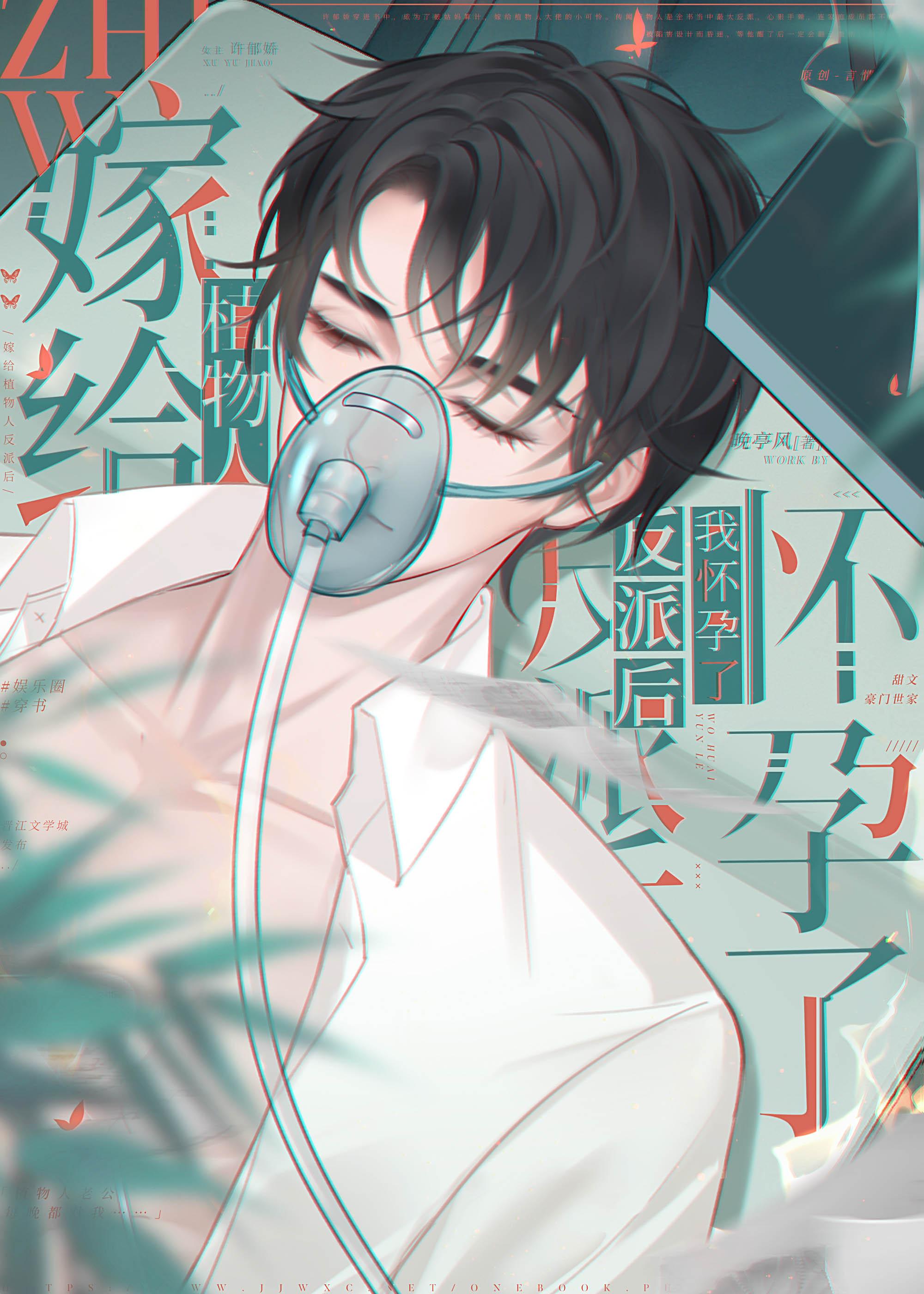 但我怀孕了 全文阅读