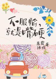 不服输就是嘴硬全文阅读