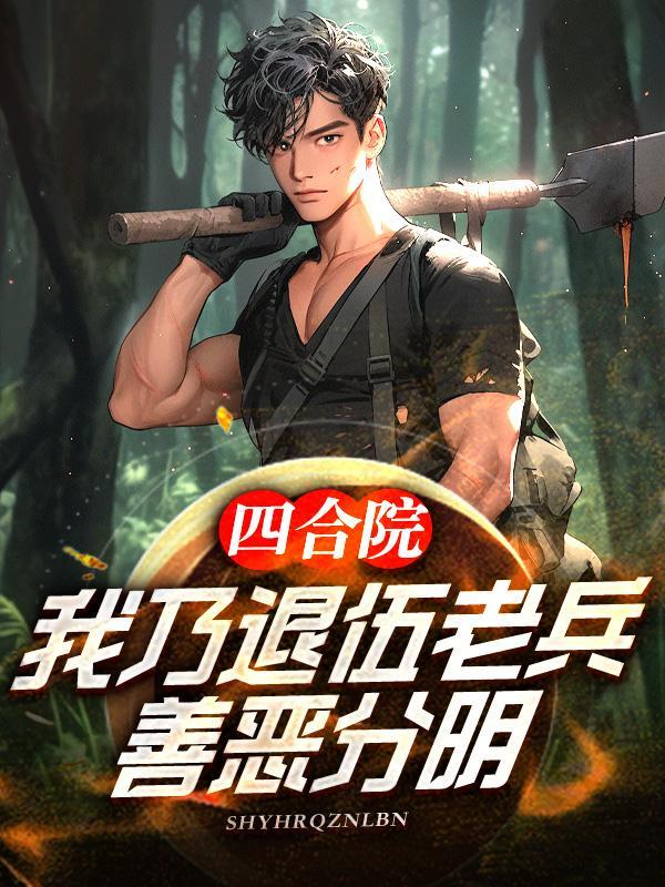 四合院我乃退伍老兵善恶分明TXT