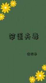 笨蛋夫妻出门忘带钥匙