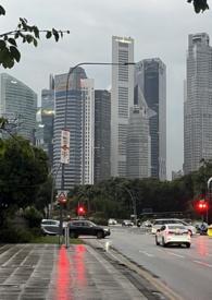 丛林法则破镜梗txt