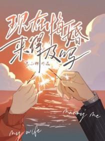 悔婚能要回彩礼钱吗